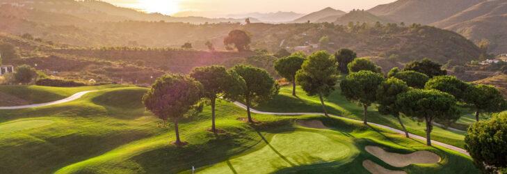 featured article image